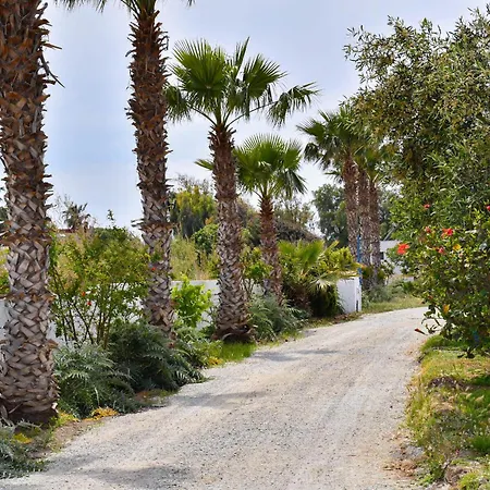 Olympia Superior At Lambi Apartmán *